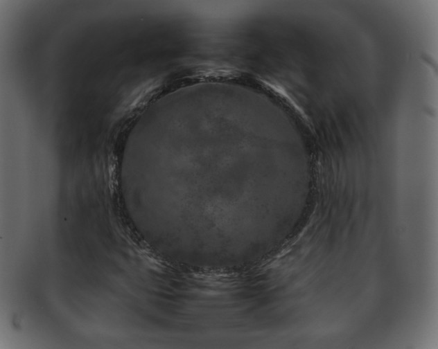 X0000092271399200709141152