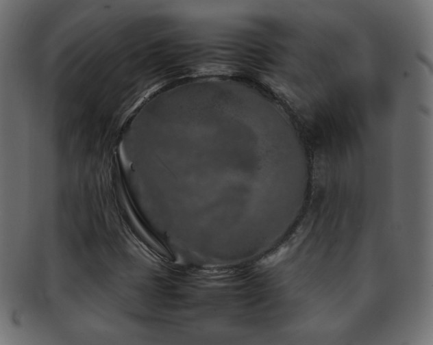 X0000092271401200709141152