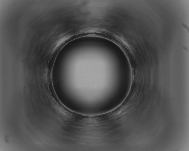 X0000092271404200709141152