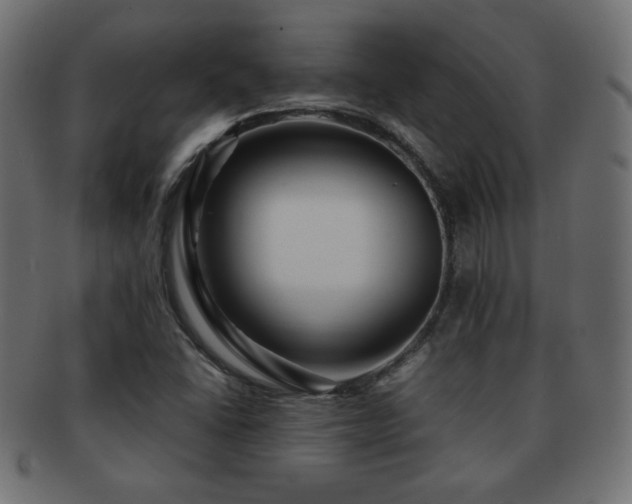 X0000092271406200709141152