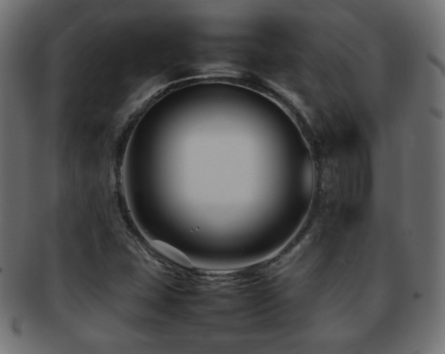 X0000092271407200709141152