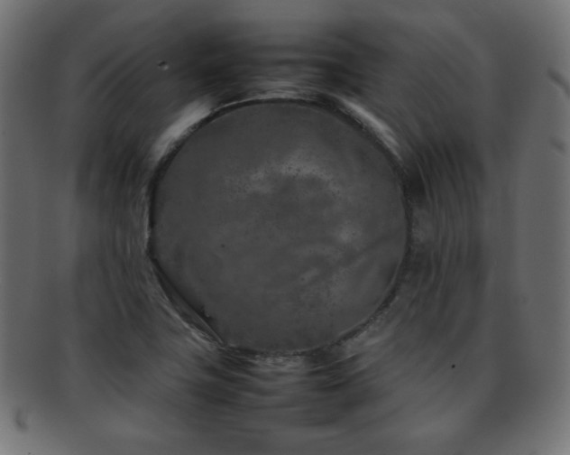 X0000092271411200709141152
