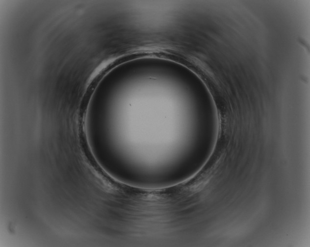 X0000092271412200709141152