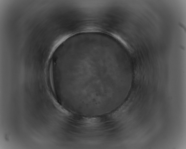 X0000092271413200709141152