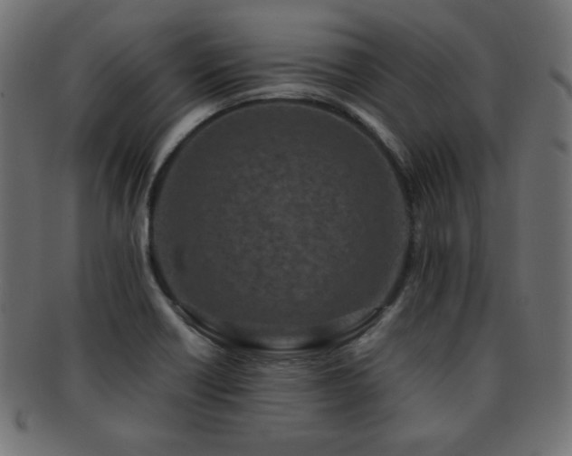 X0000092271418200709141152