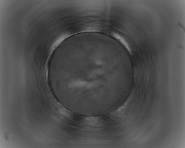 X0000092271419200709141152