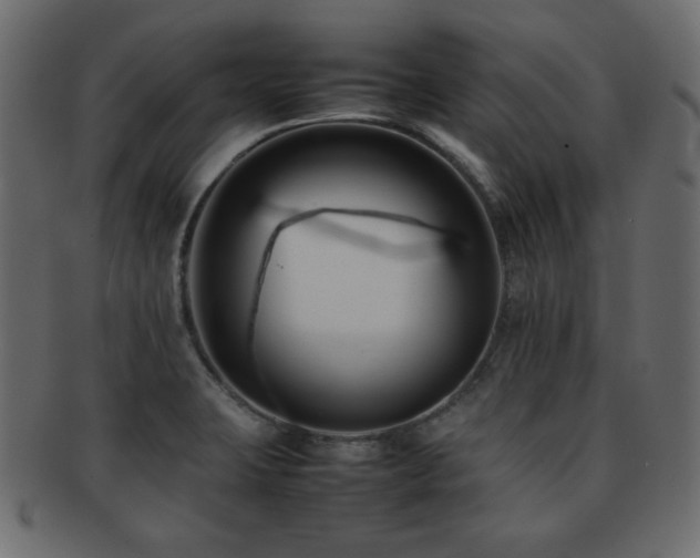 X0000092271423200709141152