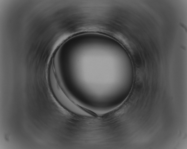 X0000092271424200709141152