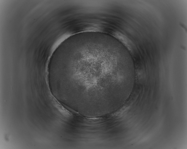 X0000092271427200709141152