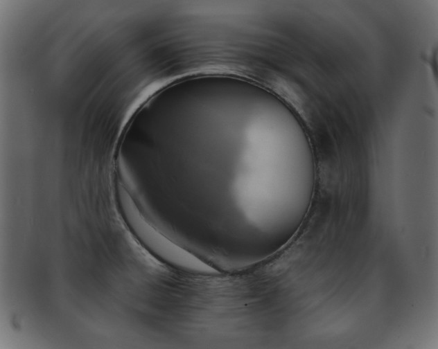 X0000092271428200709141152