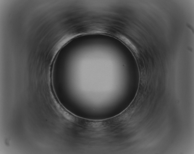 X0000092271431200709141152