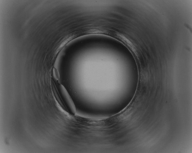 X0000092271433200709141152