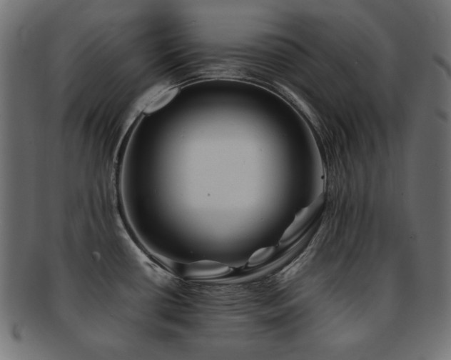 X0000092271434200709141152