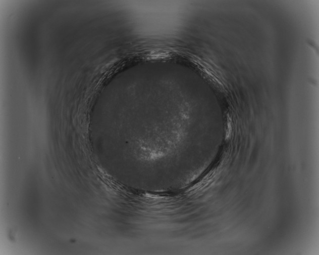 X0000092271441200709141151