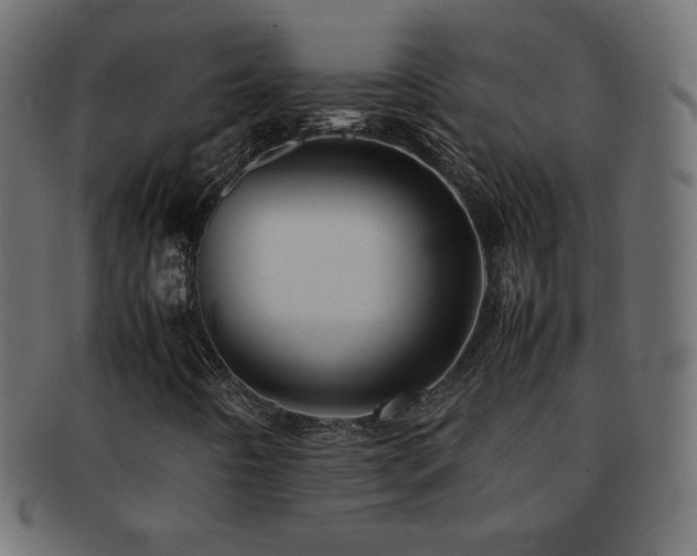 X0000092271442200709141151