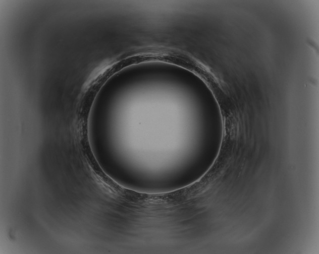 X0000092271448200709141151