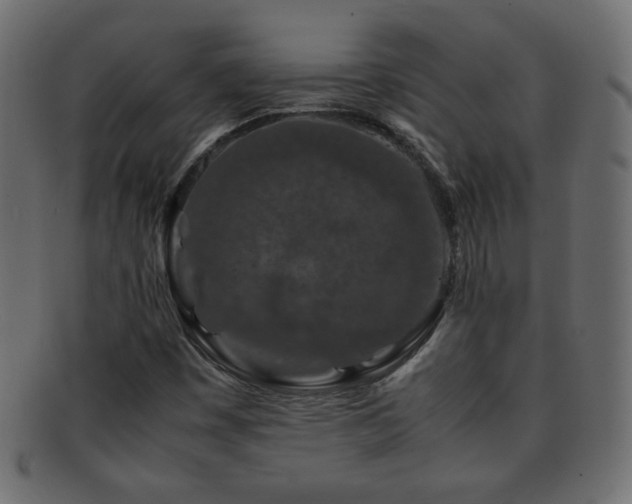 X0000092271449200709141151