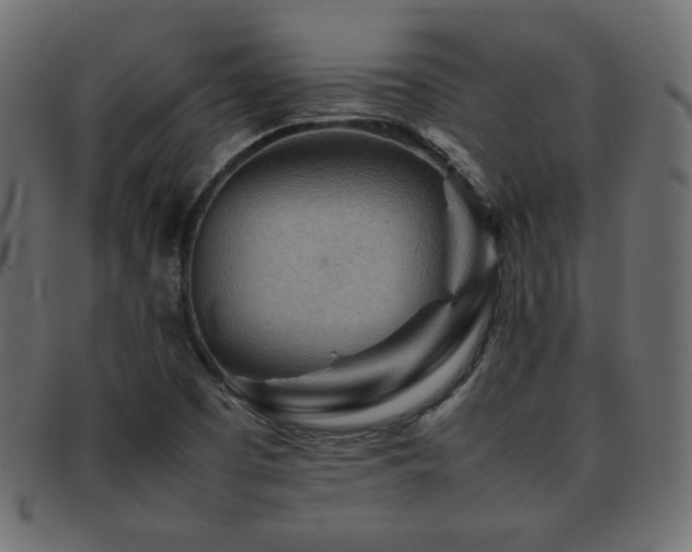 X0000092271457200709141151