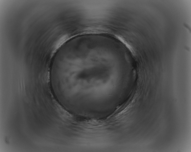 X0000092271459200709141151