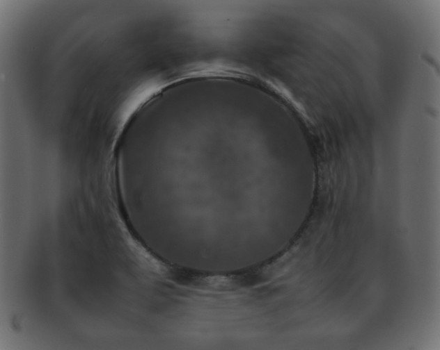 X0000092271463200709141151