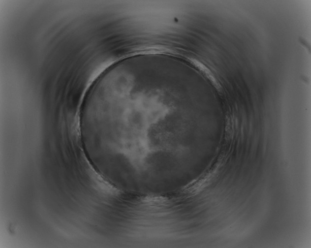 X0000092271466200709141151