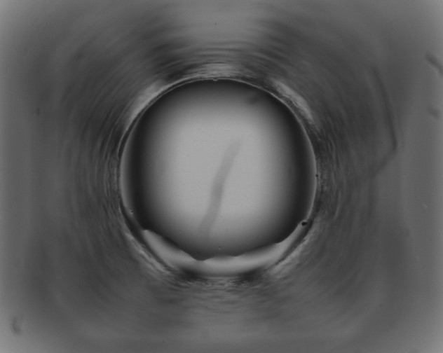 X0000092271473200709141151