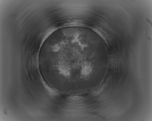 X0000092271474200709141151