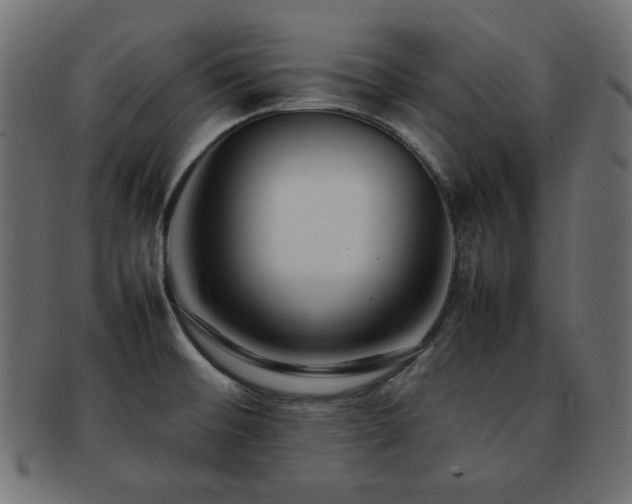 X0000092271476200709141151