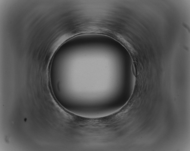 X0000092271479200709141151