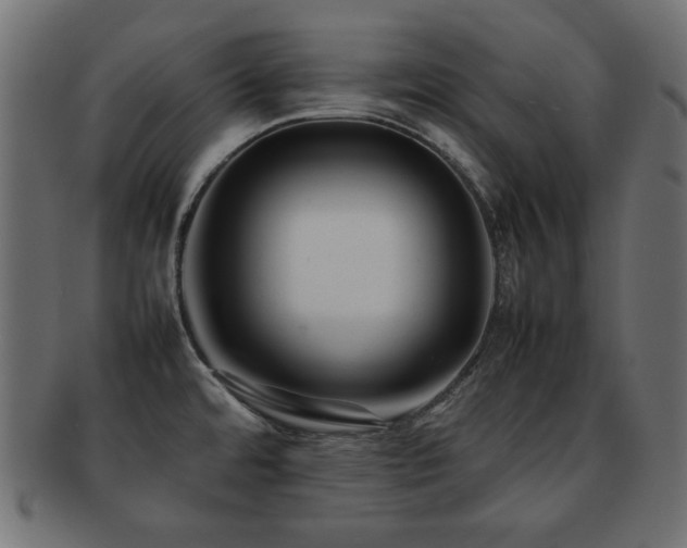 X0000092271480200709141151