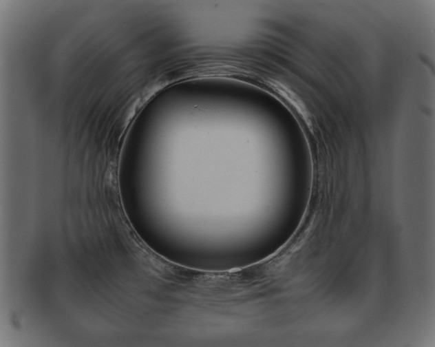 X0000092271481200709141151