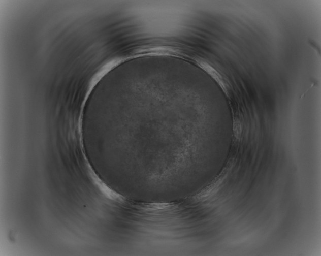 X0000092271482200709141151