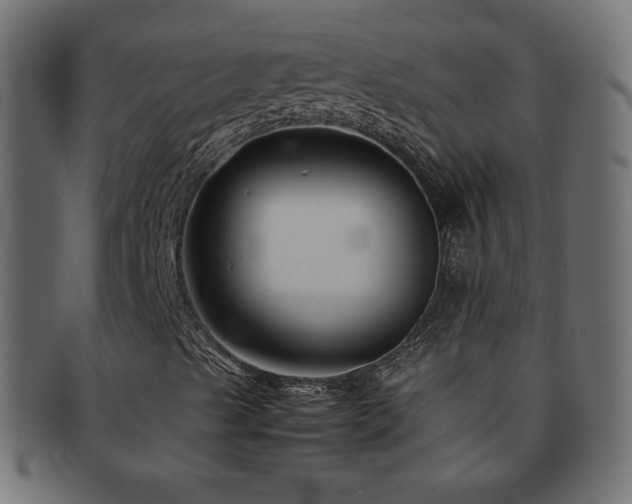 X0000092271489200709141150