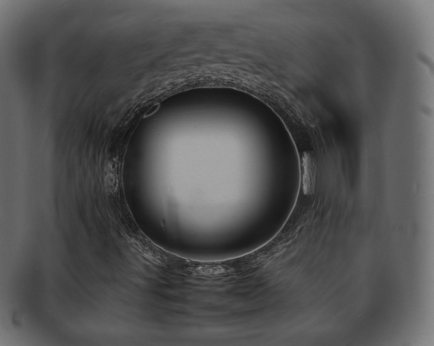 X0000092271491200709141150