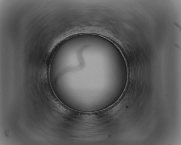 X0000092271498200709141150