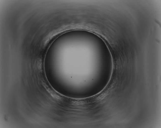 X0000092271499200709141150
