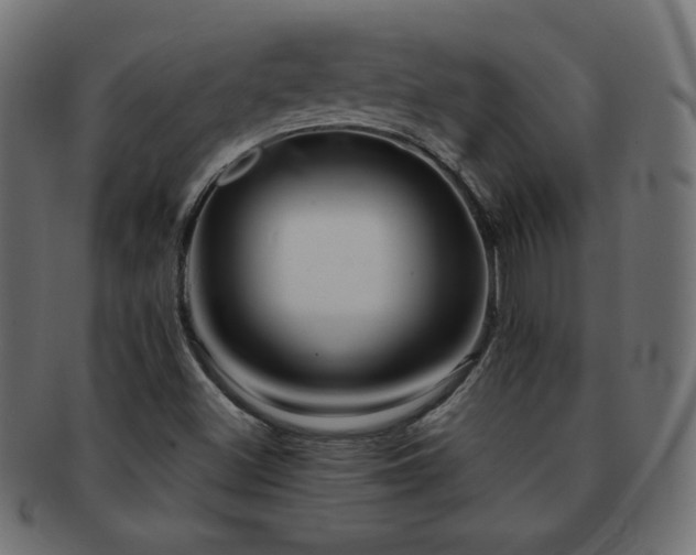 X0000092271500200709141150
