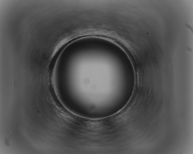 X0000092271501200709141150