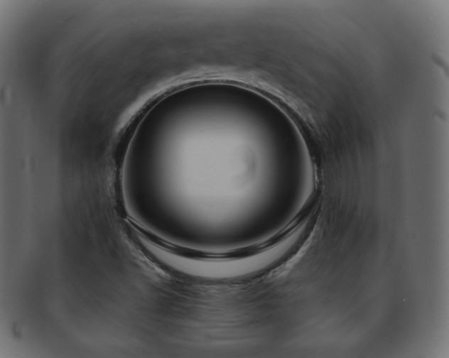 X0000092271502200709141151