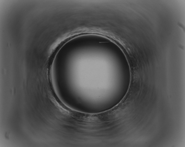 X0000092271503200709141151