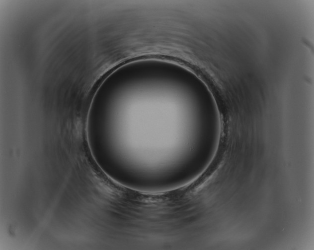 X0000092271505200709141151