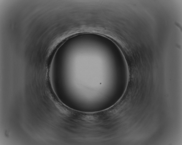 X0000092271507200709141151