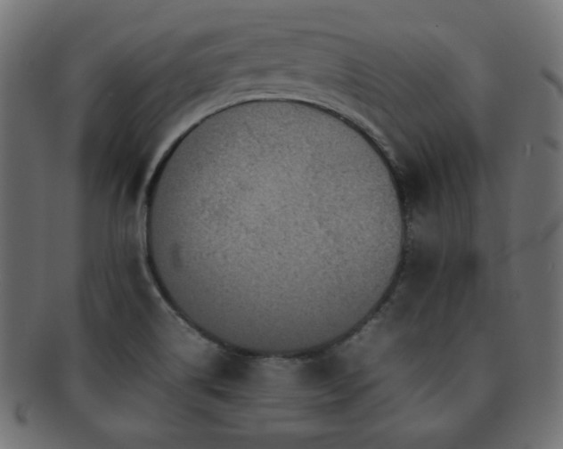X0000092271514200709141151