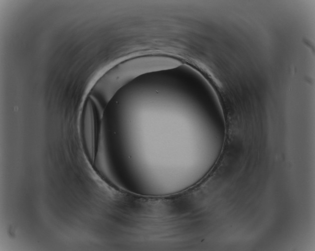 X0000092271516200709141151