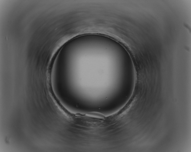 X0000092271517200709141151