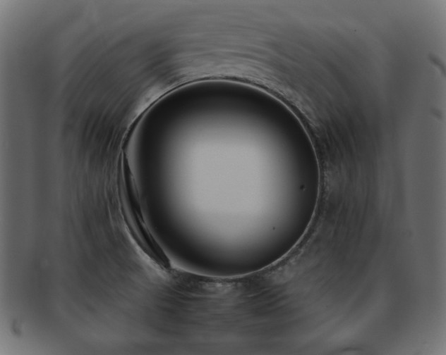 X0000092271521200709141151
