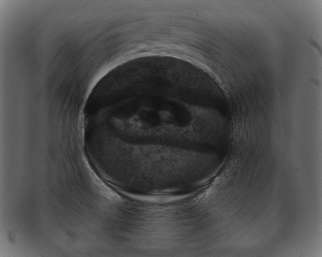 X0000092271522200709141151