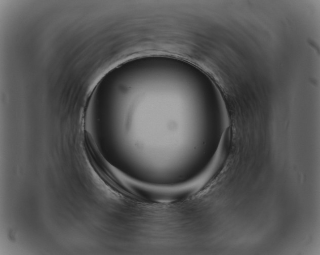 X0000092271524200709141151