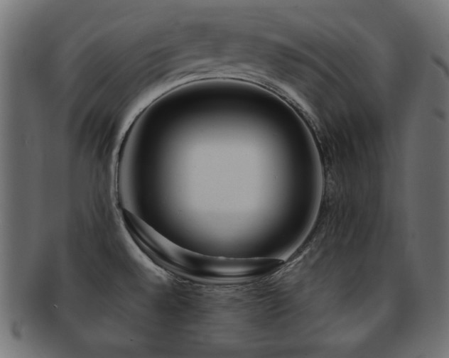 X0000092271528200709141151