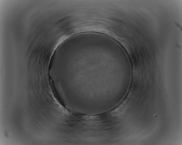 X0000092271529200709141151